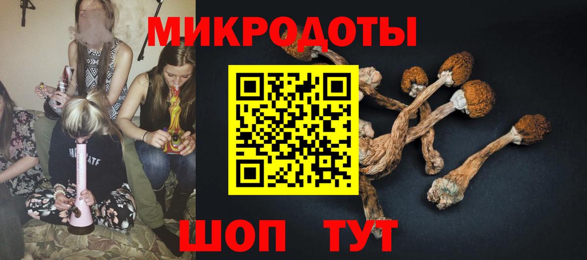 Галлюциногенные грибы Psilocybe Ивантеевка