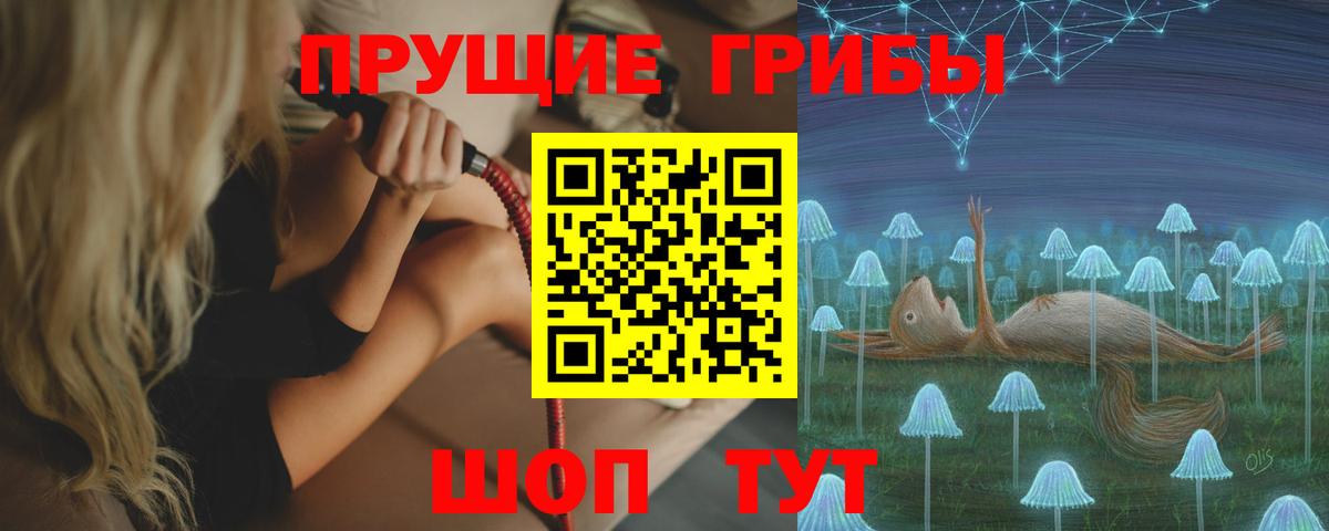 наркошоп  Псилоцибиновые грибы прущие грибы  Вход с VPN  Ивантеевка  Псилоцибиновые грибы мицелий 